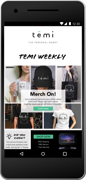 Temi Merch On mobile mockup